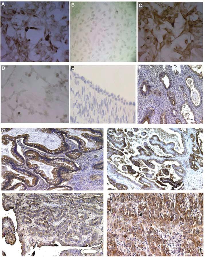 https://cdn.ncbi.nlm.nih.gov/pmc/blobs/2834/2364785/2138c49768ac/91-6602041f1.jpg