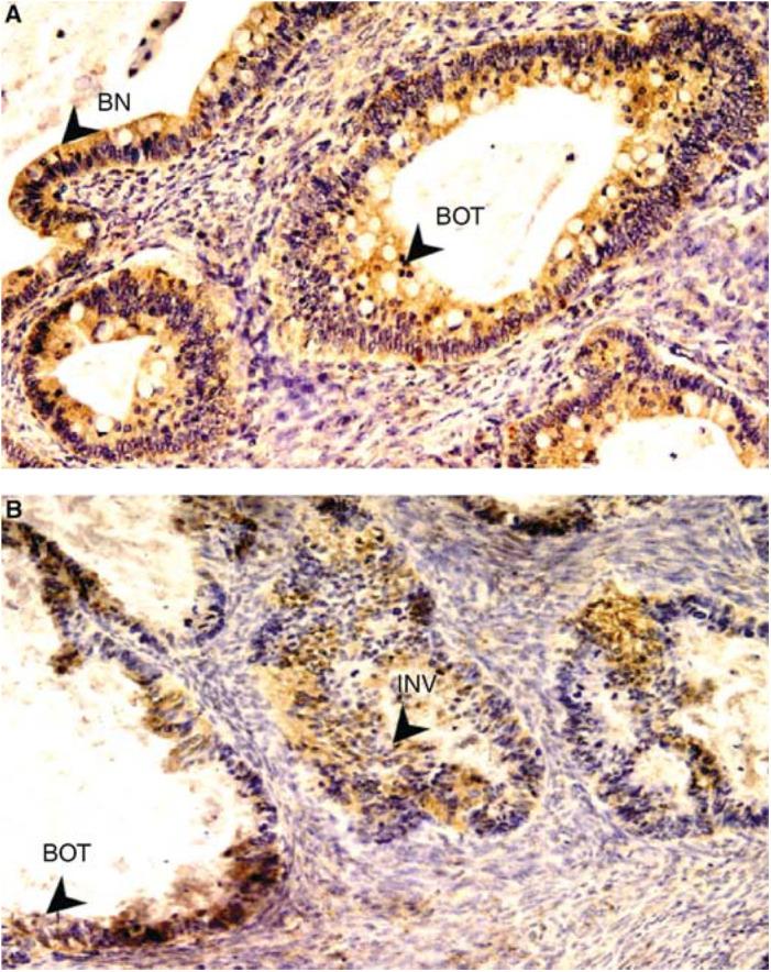 https://cdn.ncbi.nlm.nih.gov/pmc/blobs/2834/2364785/7d47a42c9346/91-6602041f2.jpg
