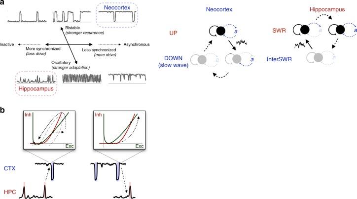 https://cdn.ncbi.nlm.nih.gov/pmc/blobs/2835/6554409/8908b288b839/41467_2019_10327_Fig7_HTML.jpg