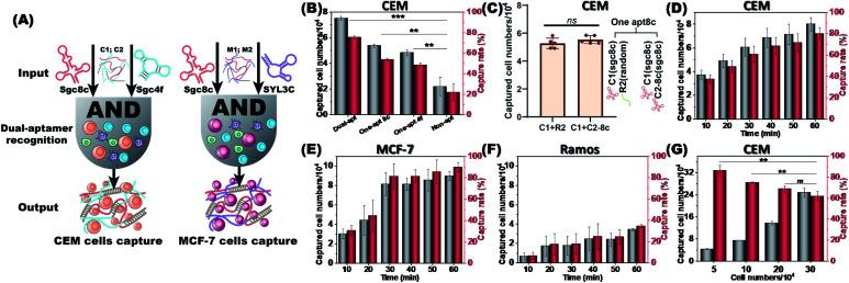 https://cdn.ncbi.nlm.nih.gov/pmc/blobs/2839/9473531/890fc056911e/d2sc03374g-f4.jpg