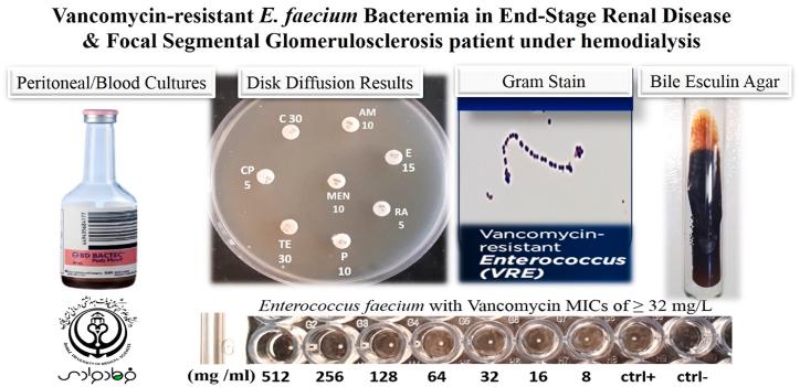 https://cdn.ncbi.nlm.nih.gov/pmc/blobs/283a/11357762/6c6c11579aaf/gr1.jpg