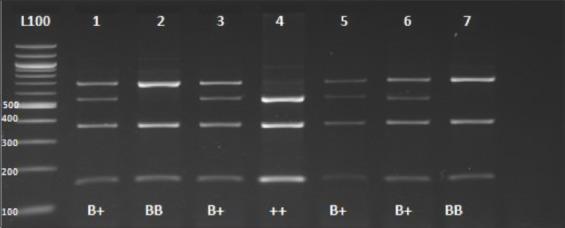 https://cdn.ncbi.nlm.nih.gov/pmc/blobs/283a/7245700/90c01d143477/Vetworld-13-614-g008.jpg