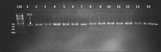 https://cdn.ncbi.nlm.nih.gov/pmc/blobs/283a/7245700/aa8bd0e23684/Vetworld-13-614-g005.jpg