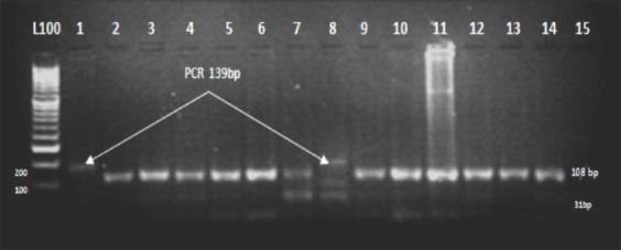 https://cdn.ncbi.nlm.nih.gov/pmc/blobs/283a/7245700/eb786c0a8137/Vetworld-13-614-g007.jpg