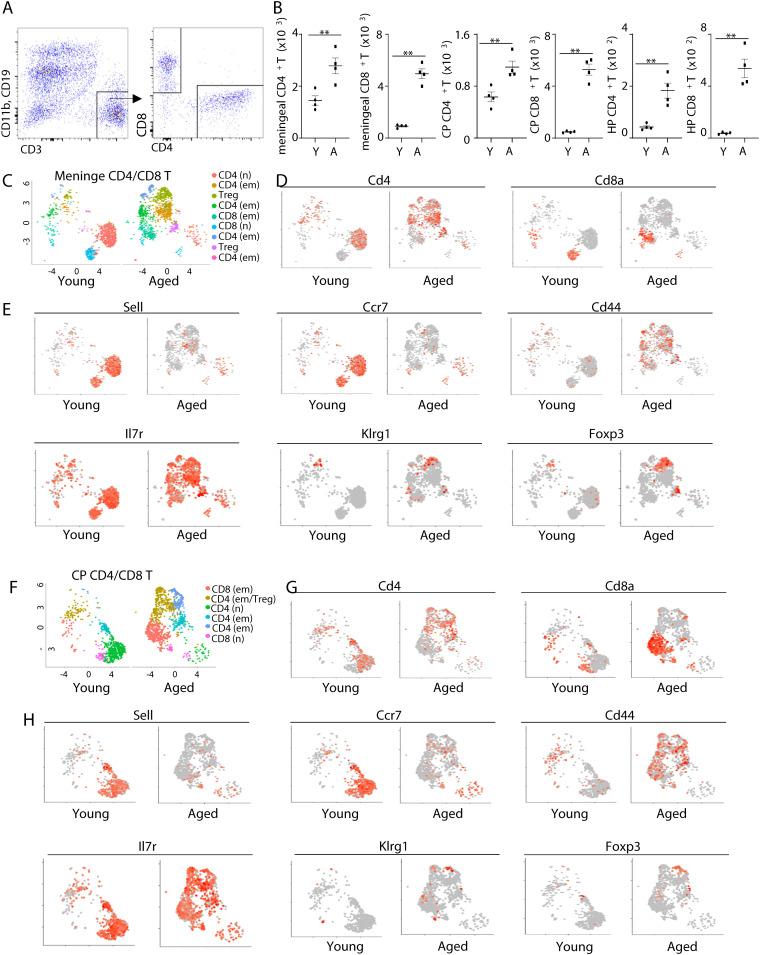 https://cdn.ncbi.nlm.nih.gov/pmc/blobs/283b/12174455/0c6c454eab48/fimmu-16-1619196-g001.jpg