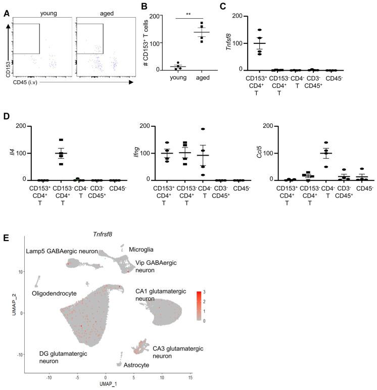 https://cdn.ncbi.nlm.nih.gov/pmc/blobs/283b/12174455/7e2d910c45cf/fimmu-16-1619196-g004.jpg
