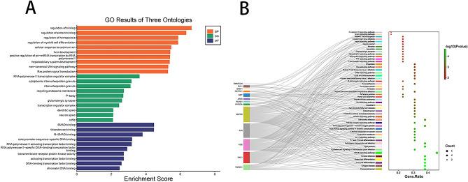 https://cdn.ncbi.nlm.nih.gov/pmc/blobs/283c/10904818/349420788441/41598_2024_55806_Fig13_HTML.jpg