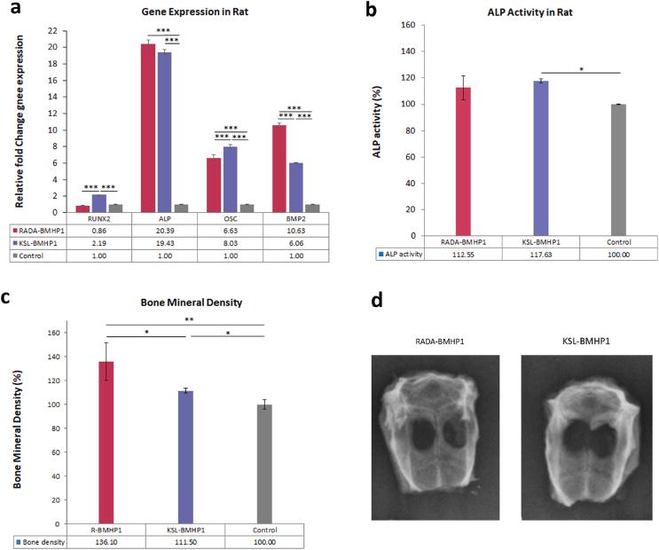 https://cdn.ncbi.nlm.nih.gov/pmc/blobs/283c/11564076/563fc5fabe8c/gr4.jpg