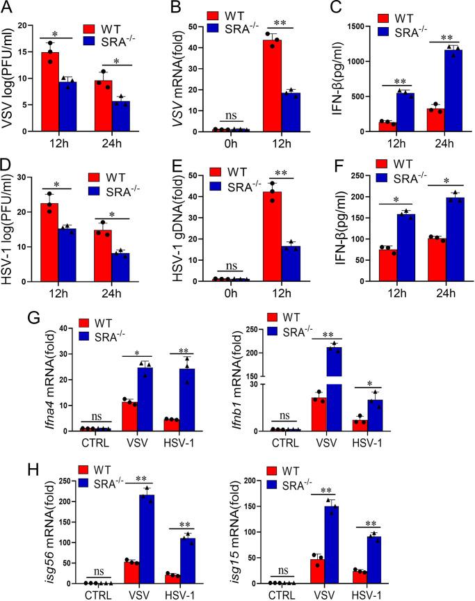 https://cdn.ncbi.nlm.nih.gov/pmc/blobs/283c/9769732/74a6027e1fd2/spectrum.02028-22-f003.jpg