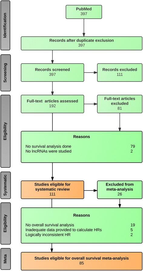 https://cdn.ncbi.nlm.nih.gov/pmc/blobs/283d/4924330/20059c3d7b97/12943_2016_535_Fig1_HTML.jpg