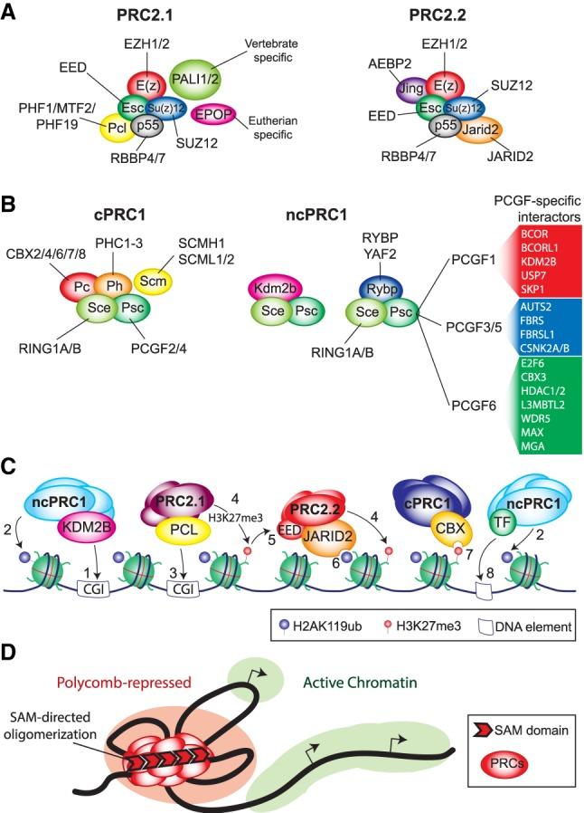 https://cdn.ncbi.nlm.nih.gov/pmc/blobs/283d/6672049/b2b5c78b55c3/936f05.jpg