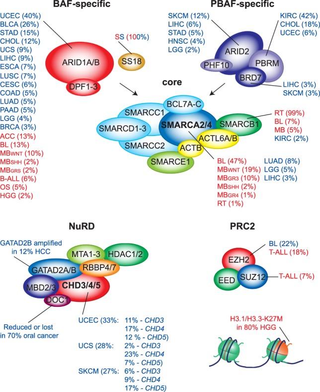 https://cdn.ncbi.nlm.nih.gov/pmc/blobs/283d/6672049/de8313fad9cf/936f06.jpg