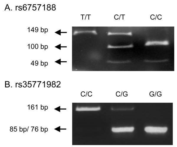 https://cdn.ncbi.nlm.nih.gov/pmc/blobs/283e/2959017/f7ae8f45b364/1423-0127-17-81-1.jpg