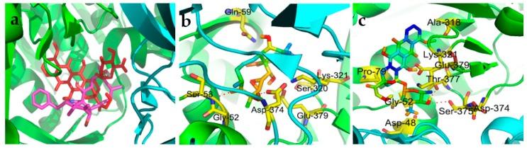 https://cdn.ncbi.nlm.nih.gov/pmc/blobs/283f/6337443/033ee0b36cb5/molecules-24-00166-g002.jpg