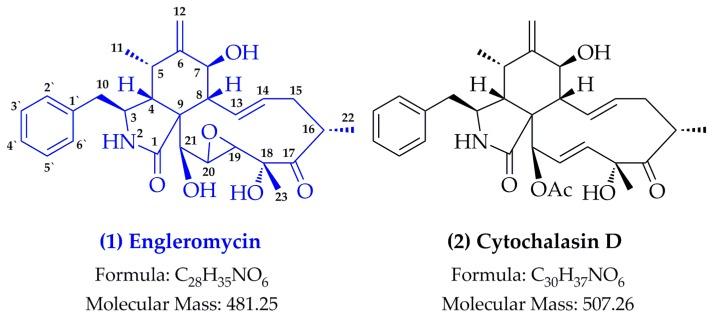 https://cdn.ncbi.nlm.nih.gov/pmc/blobs/283f/6337443/932858739bc5/molecules-24-00166-g001.jpg