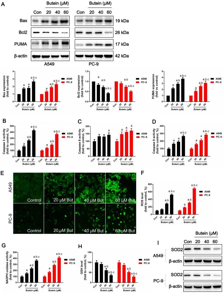 https://cdn.ncbi.nlm.nih.gov/pmc/blobs/283f/6643215/610612f9a60a/ijbsv15p1637g004.jpg
