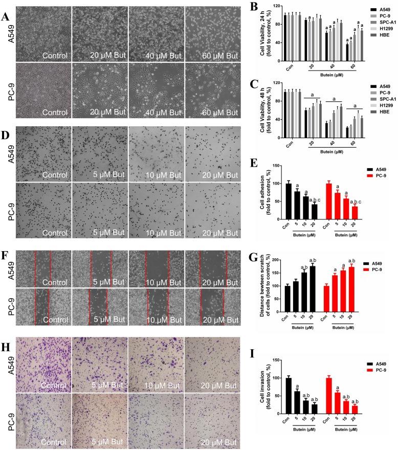 https://cdn.ncbi.nlm.nih.gov/pmc/blobs/283f/6643215/75ce9943126a/ijbsv15p1637g001.jpg