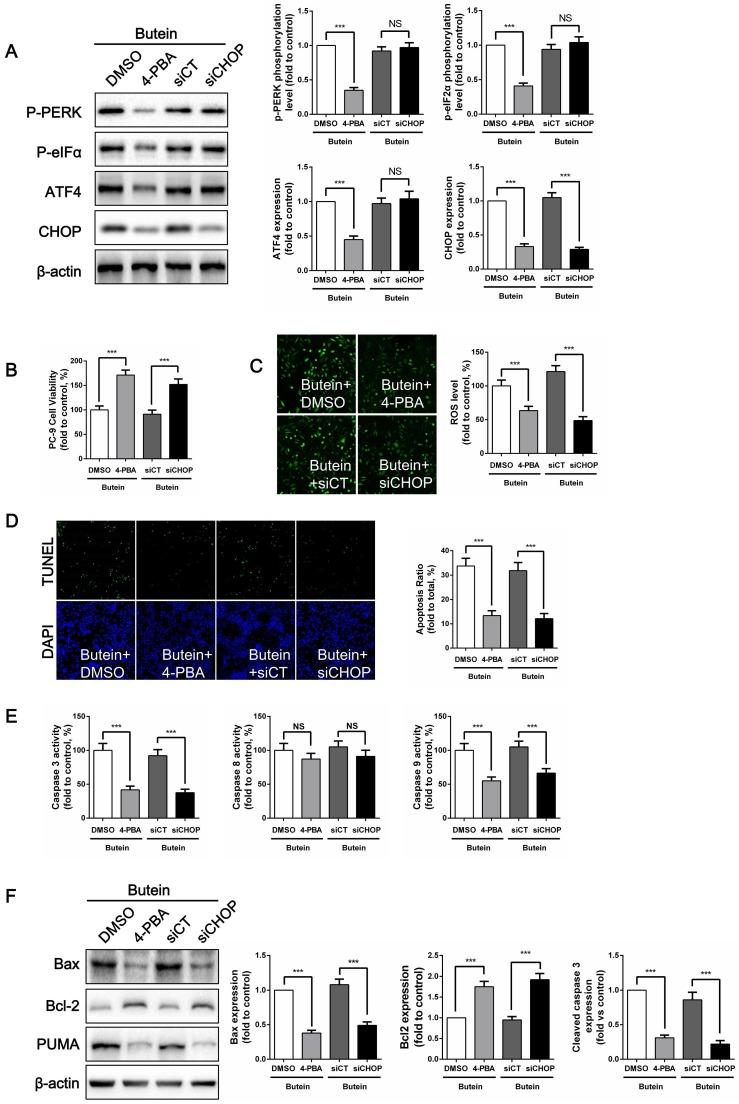 https://cdn.ncbi.nlm.nih.gov/pmc/blobs/283f/6643215/8bdd702a8060/ijbsv15p1637g006.jpg