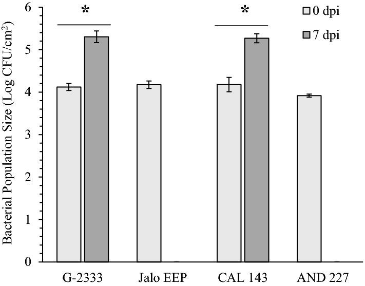 https://cdn.ncbi.nlm.nih.gov/pmc/blobs/2841/9242968/9cc0ffa03a12/425_2022_3943_Fig5_HTML.jpg