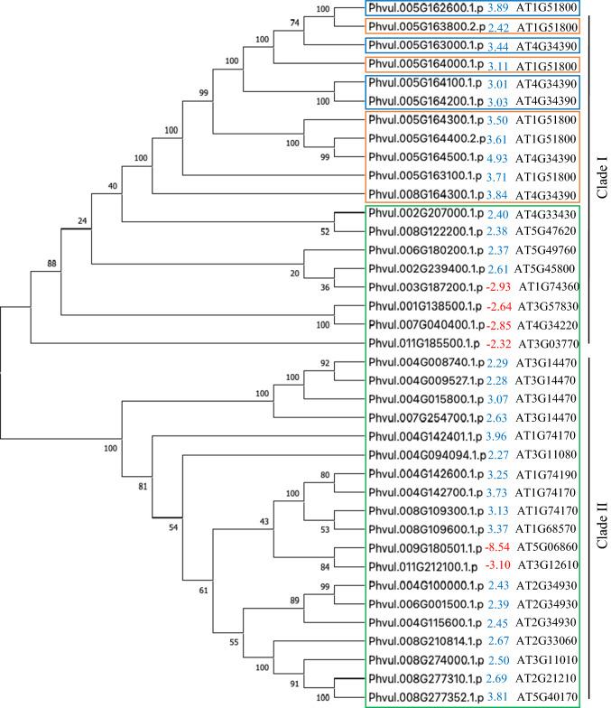 https://cdn.ncbi.nlm.nih.gov/pmc/blobs/2841/9242968/bf9937c6d58b/425_2022_3943_Fig4_HTML.jpg