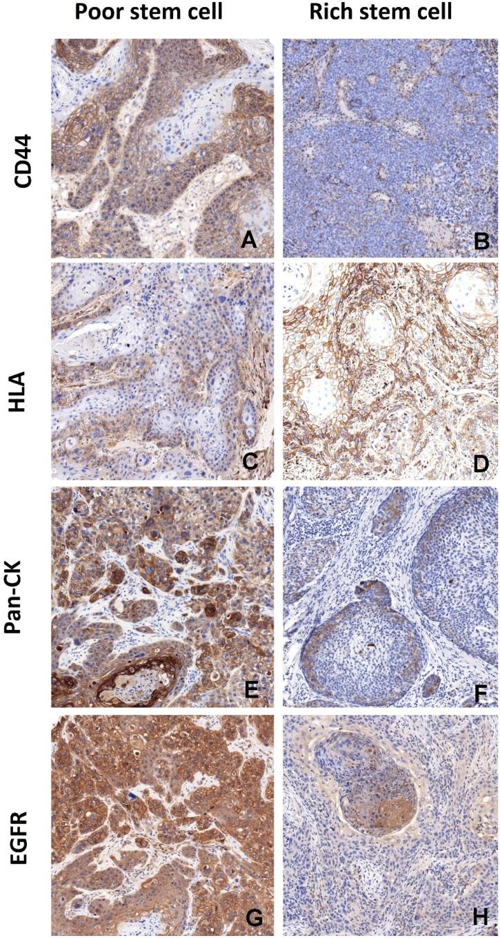 https://cdn.ncbi.nlm.nih.gov/pmc/blobs/2843/12329299/a9660a9092bf/gr1.jpg