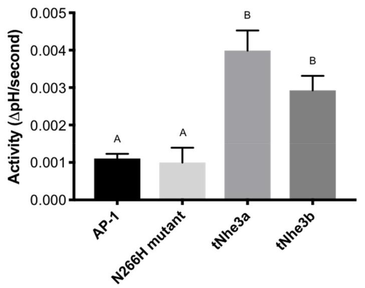 https://cdn.ncbi.nlm.nih.gov/pmc/blobs/2843/7926675/ac4230748b1c/ijms-22-02205-g004.jpg