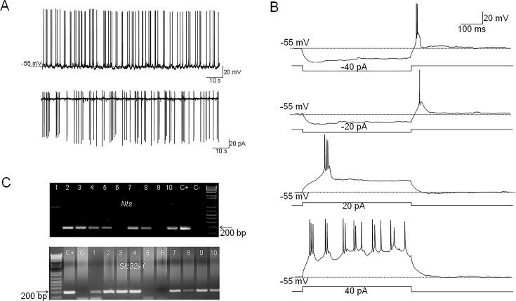 https://cdn.ncbi.nlm.nih.gov/pmc/blobs/2844/11361704/2dc4e41f53d3/elife-98677-fig1.jpg
