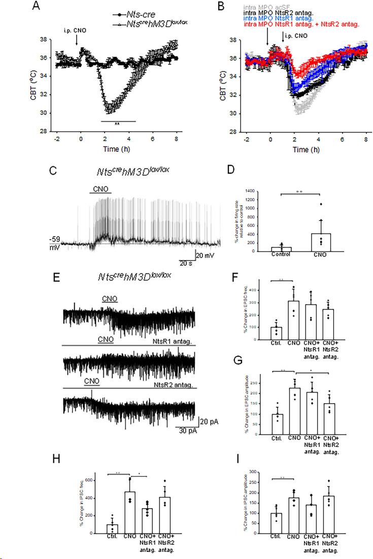 https://cdn.ncbi.nlm.nih.gov/pmc/blobs/2844/11361704/6de35ebf440b/elife-98677-fig7.jpg