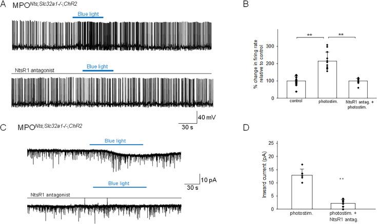https://cdn.ncbi.nlm.nih.gov/pmc/blobs/2844/11361704/7c996b42924c/elife-98677-fig5.jpg