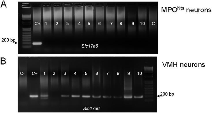 https://cdn.ncbi.nlm.nih.gov/pmc/blobs/2844/11361704/bc80cfc1e2ab/elife-98677-fig1-figsupp1.jpg