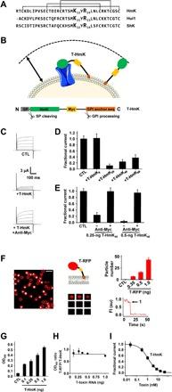 https://cdn.ncbi.nlm.nih.gov/pmc/blobs/284c/7056315/09919bbef2ca/aaz3439-F1.jpg