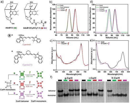 https://cdn.ncbi.nlm.nih.gov/pmc/blobs/284d/11673460/98c2ae2f485c/SMLL-20-2405687-g004.jpg