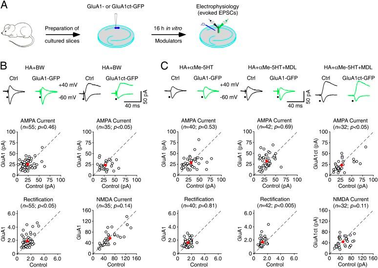 https://cdn.ncbi.nlm.nih.gov/pmc/blobs/284e/3923969/787e1197174f/273fig1.jpg