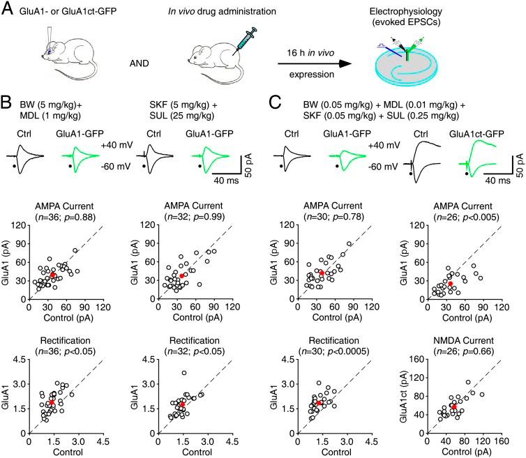 https://cdn.ncbi.nlm.nih.gov/pmc/blobs/284e/3923969/d0186f4a04ae/273fig5.jpg