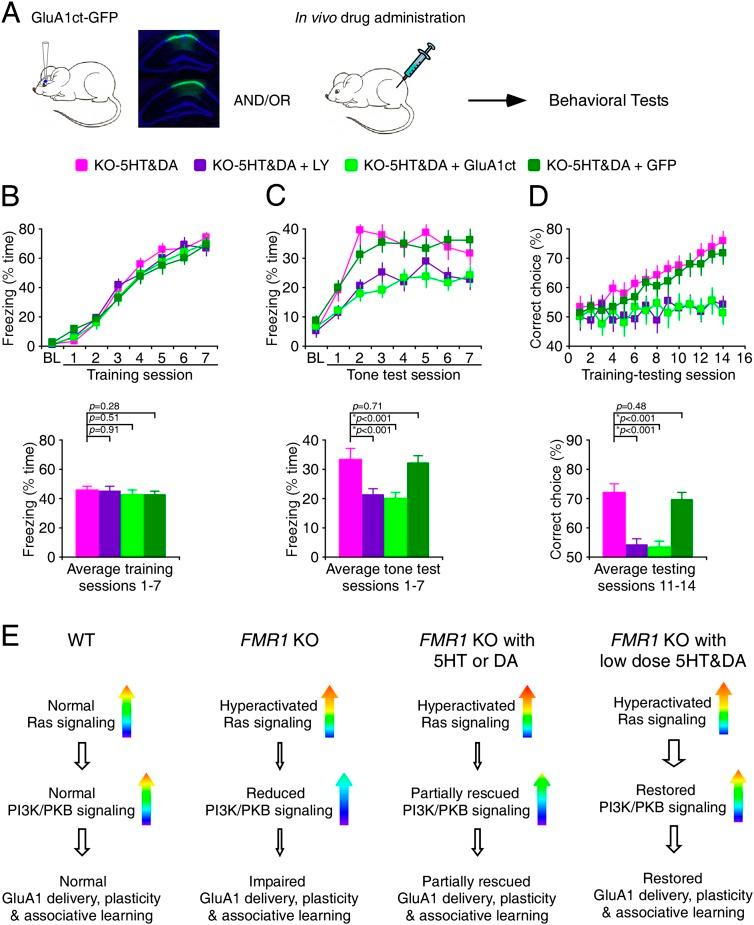https://cdn.ncbi.nlm.nih.gov/pmc/blobs/284e/3923969/fd4d295b88c8/273fig8.jpg