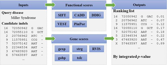 https://cdn.ncbi.nlm.nih.gov/pmc/blobs/284e/5431795/705d16fb6534/41598_2017_1834_Fig1_HTML.jpg