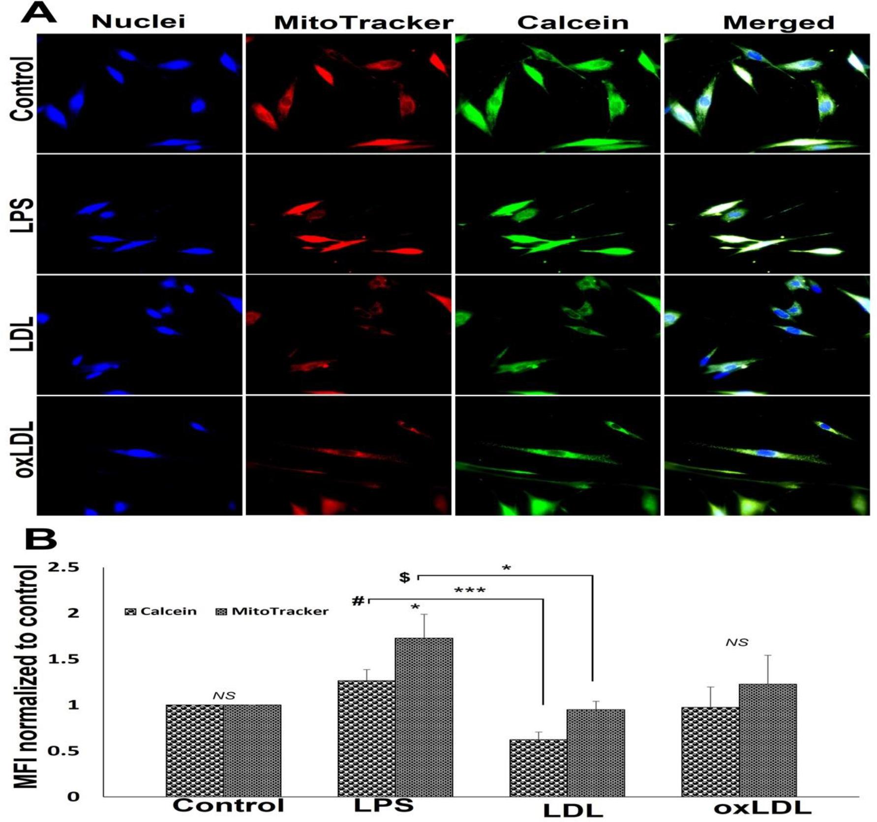 https://cdn.ncbi.nlm.nih.gov/pmc/blobs/284e/9075180/a17c321efd29/nihms-1798368-f0005.jpg