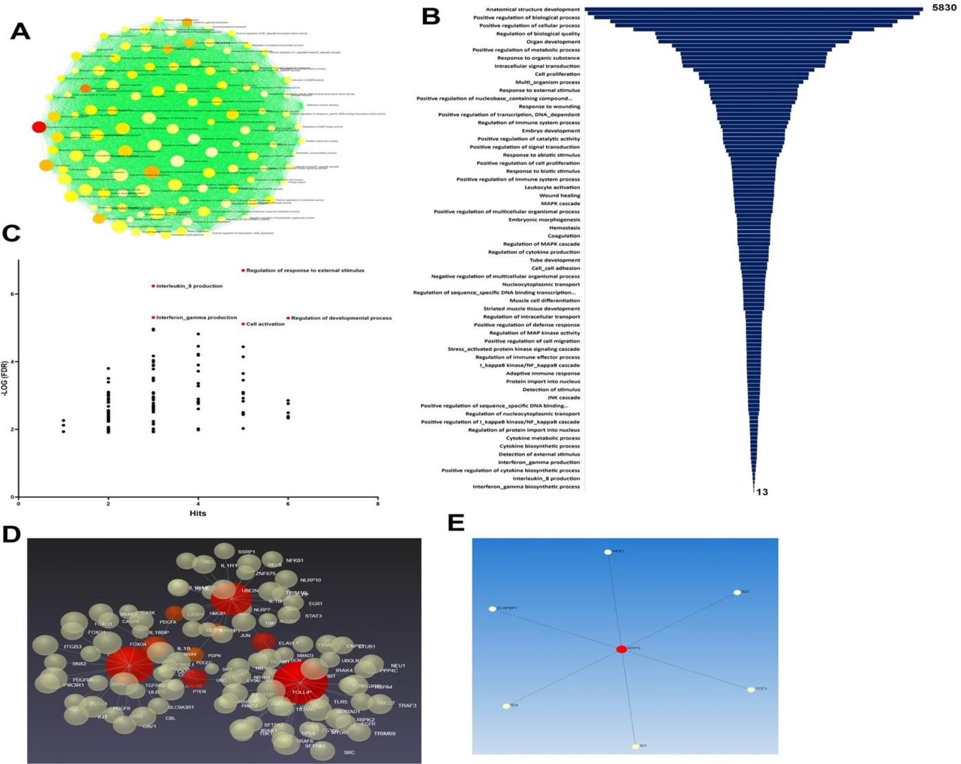 https://cdn.ncbi.nlm.nih.gov/pmc/blobs/284e/9075180/bcb60d751c29/nihms-1798368-f0007.jpg