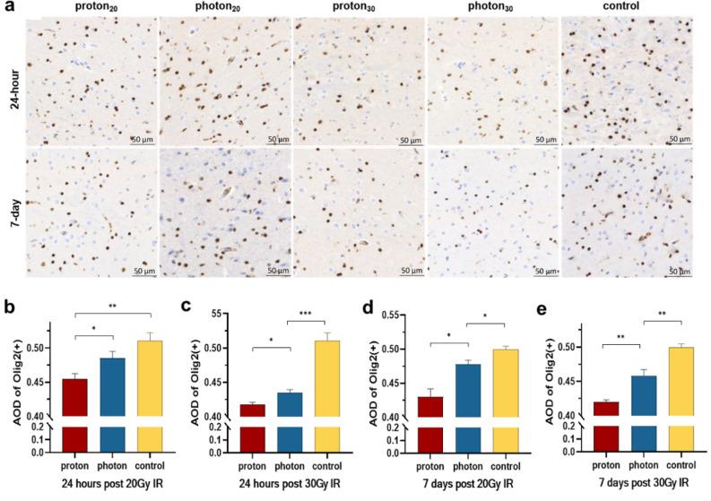 https://cdn.ncbi.nlm.nih.gov/pmc/blobs/2854/11001863/19180747a28b/41598_2024_58831_Fig3_HTML.jpg