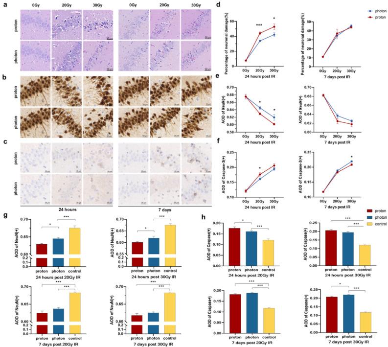 https://cdn.ncbi.nlm.nih.gov/pmc/blobs/2854/11001863/b2b71f7743a8/41598_2024_58831_Fig1_HTML.jpg
