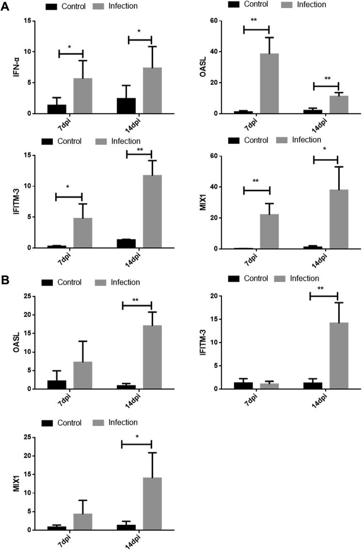 https://cdn.ncbi.nlm.nih.gov/pmc/blobs/2855/7921877/6171d04a5028/gr5.jpg