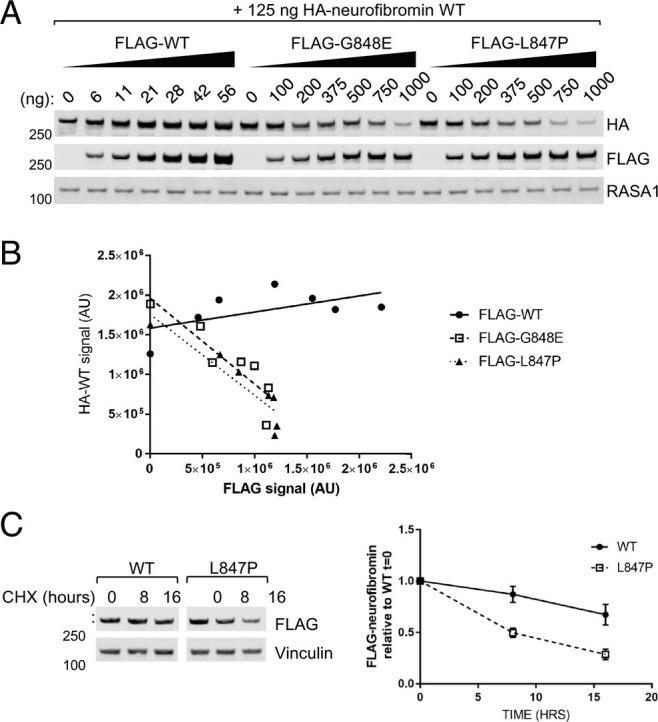 https://cdn.ncbi.nlm.nih.gov/pmc/blobs/2856/9945959/fd41c3767f47/pnas.2208960120fig02.jpg
