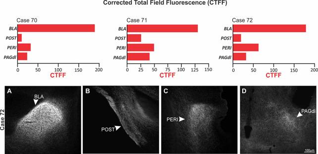 https://cdn.ncbi.nlm.nih.gov/pmc/blobs/2857/8730726/643e49c55b27/elife-67007-app1-fig8.jpg