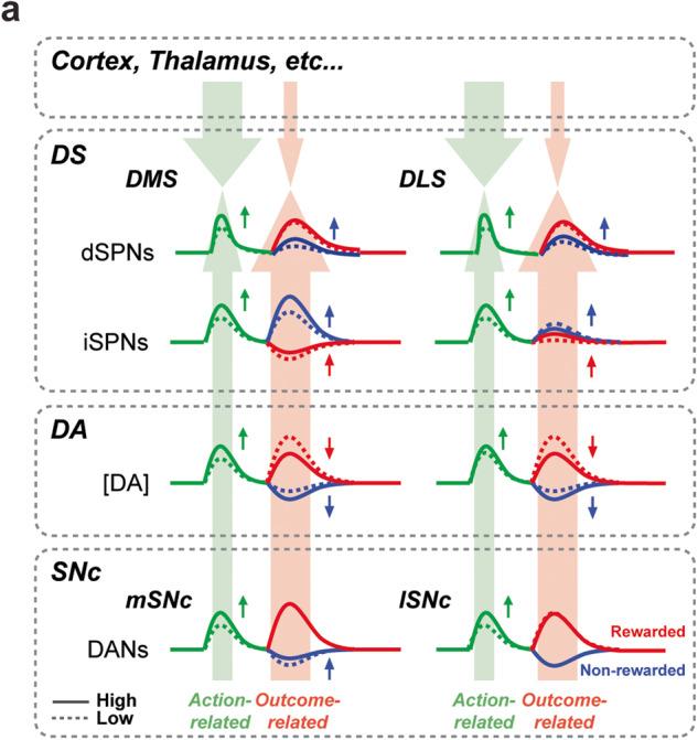 https://cdn.ncbi.nlm.nih.gov/pmc/blobs/2858/10482957/41c37b227b45/42003_2023_5288_Fig6_HTML.jpg