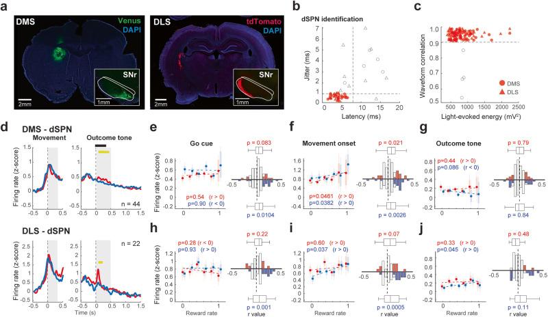 https://cdn.ncbi.nlm.nih.gov/pmc/blobs/2858/10482957/8aa1c195cefe/42003_2023_5288_Fig4_HTML.jpg