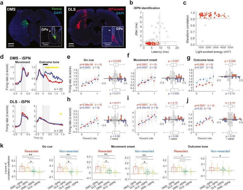 https://cdn.ncbi.nlm.nih.gov/pmc/blobs/2858/10482957/f9571b775088/42003_2023_5288_Fig5_HTML.jpg