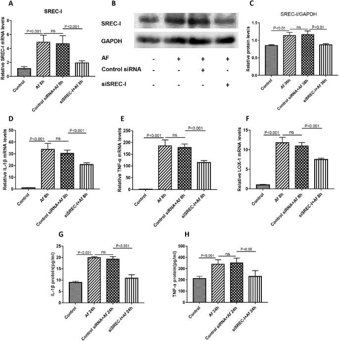 https://cdn.ncbi.nlm.nih.gov/pmc/blobs/285a/8267217/4bbd6c834c58/iovs-62-9-12-f002.jpg