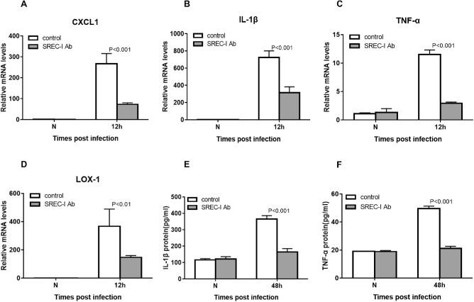 https://cdn.ncbi.nlm.nih.gov/pmc/blobs/285a/8267217/7e720b5e0593/iovs-62-9-12-f005.jpg