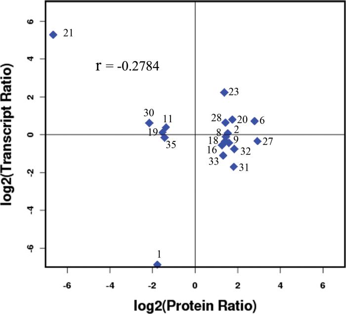 https://cdn.ncbi.nlm.nih.gov/pmc/blobs/285b/3830480/358bff3c9273/exbotj_ert284_f0005.jpg