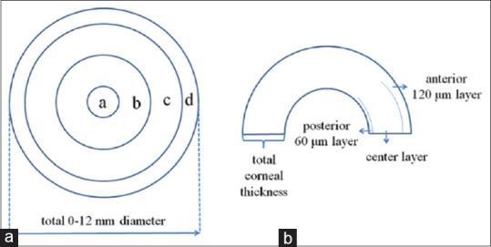 https://cdn.ncbi.nlm.nih.gov/pmc/blobs/285e/8102947/1788c3fd0e0f/JCO-33-23-g002.jpg